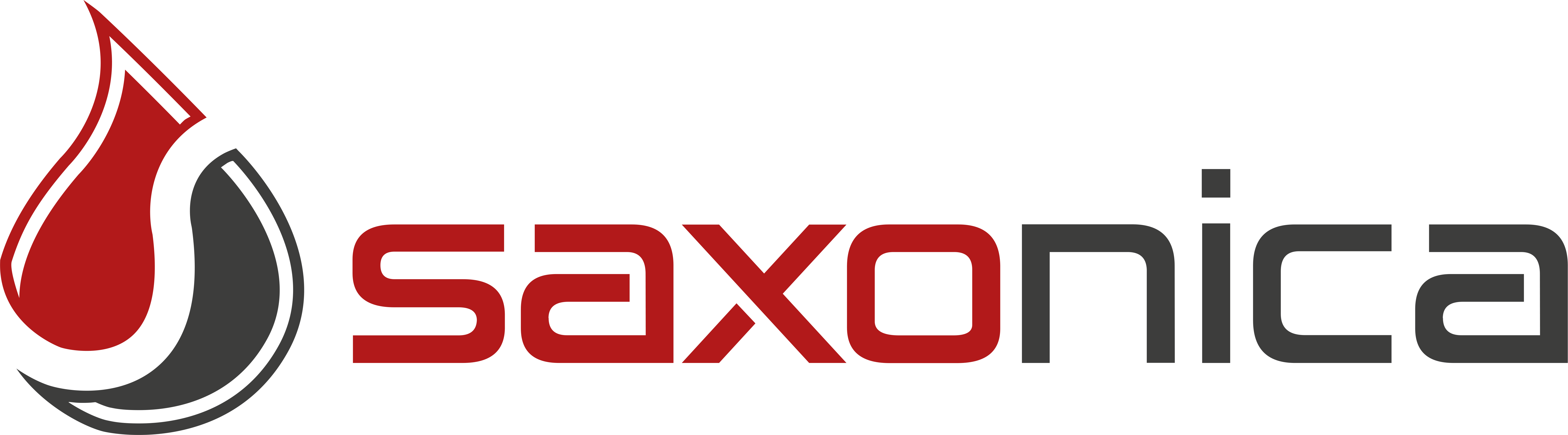 Support | Saxonica GmbH